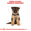 Royal Canin Breed Health Nutrition German Shepherd Puppy