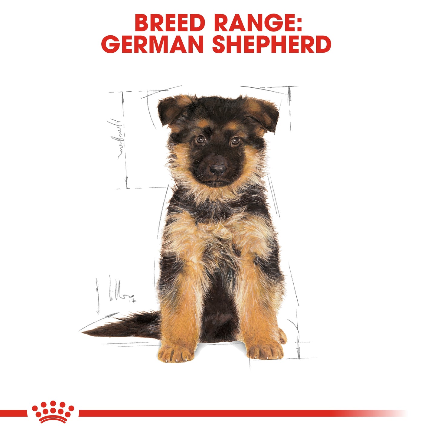Royal Canin Breed Health Nutrition German Shepherd Puppy