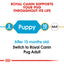 Royal Canin Breed Health Nutrition Pug Puppy 1.5 KG