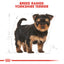 Royal Canin Breed Health Nutrition Yorkshire Puppy 1.5 KG