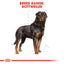 Royal Canin Breed Health Nutrition Rottweiler Adult 12 KG