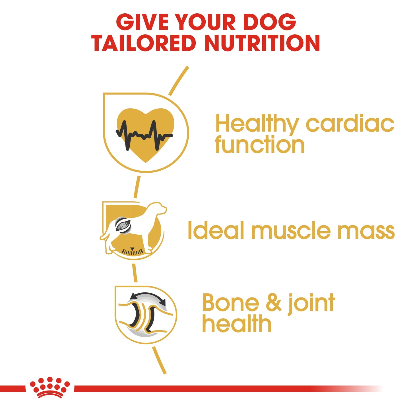 Royal Canin Breed Health Nutrition Rottweiler Adult 12 KG
