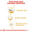 Royal Canin Breed Health Nutrition Shih Tzu Adult