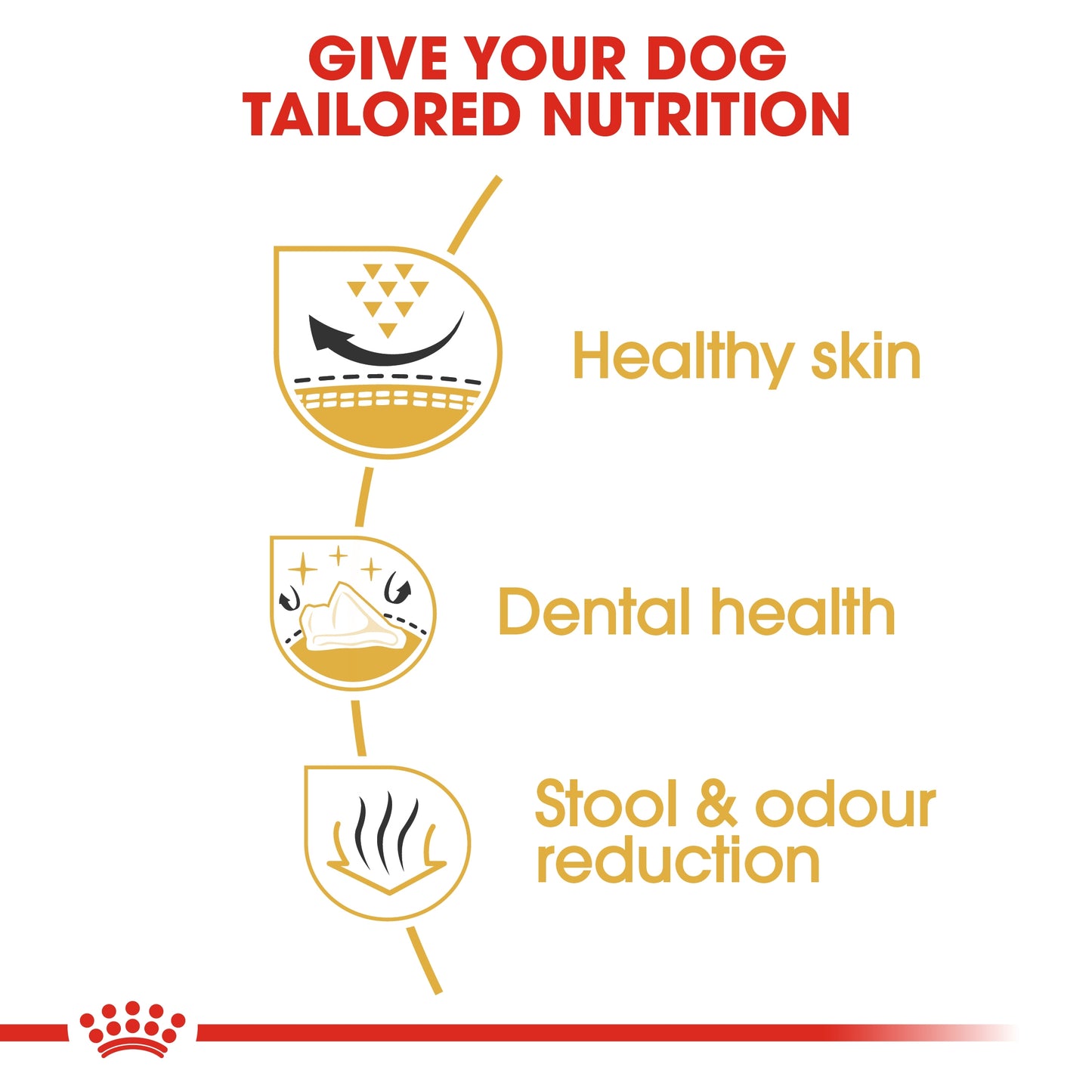Royal Canin Breed Health Nutrition Shih Tzu Adult
