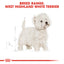 Royal Canin Breed Health Nutrition Westie Adult 3 KG