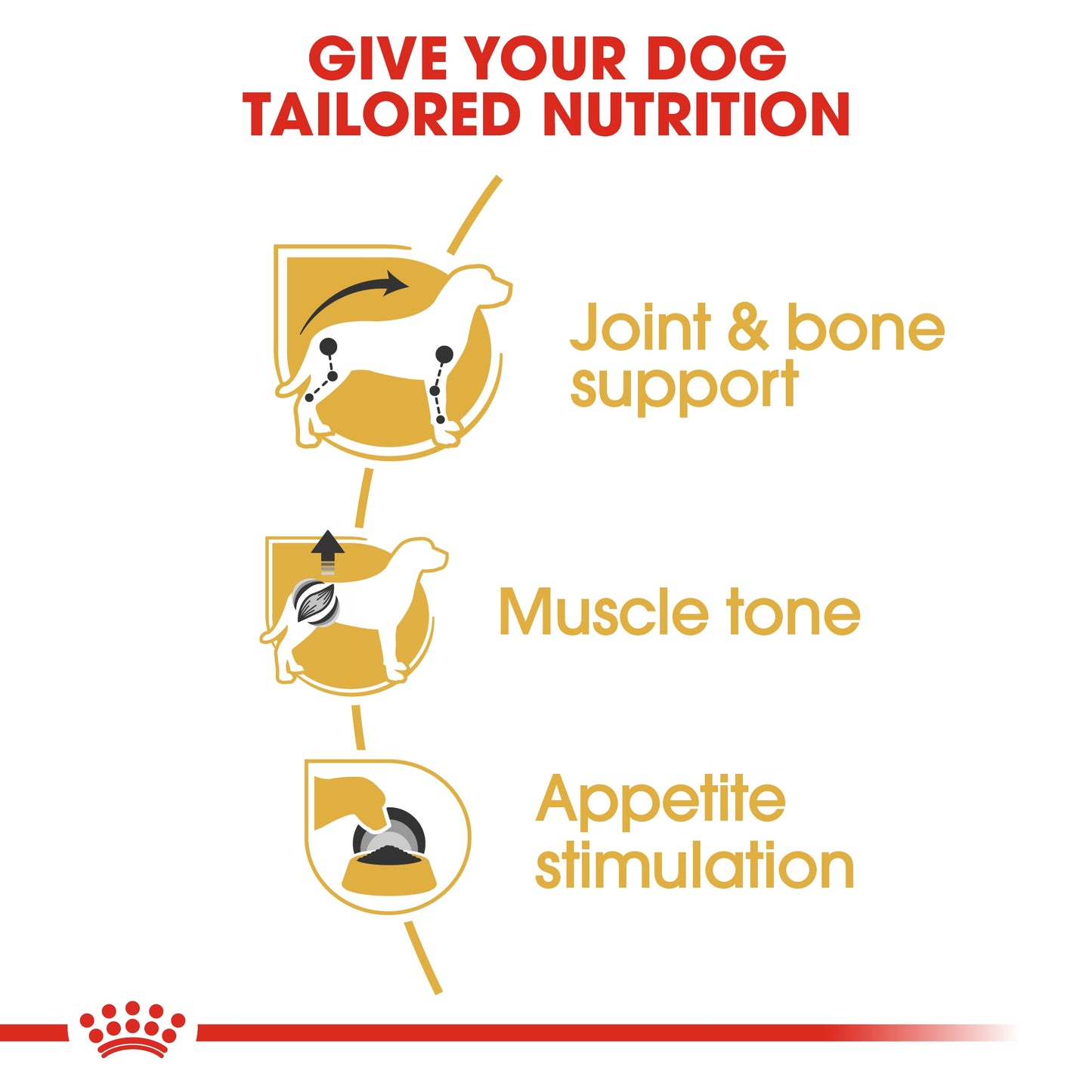 Royal Canin Breed Health Nutrition Dachshund Adult (WET FOOD - Pouches)