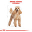 Royal Canin  Breed Health Nutrition Poodle Adult (WET FOOD - Pouches)