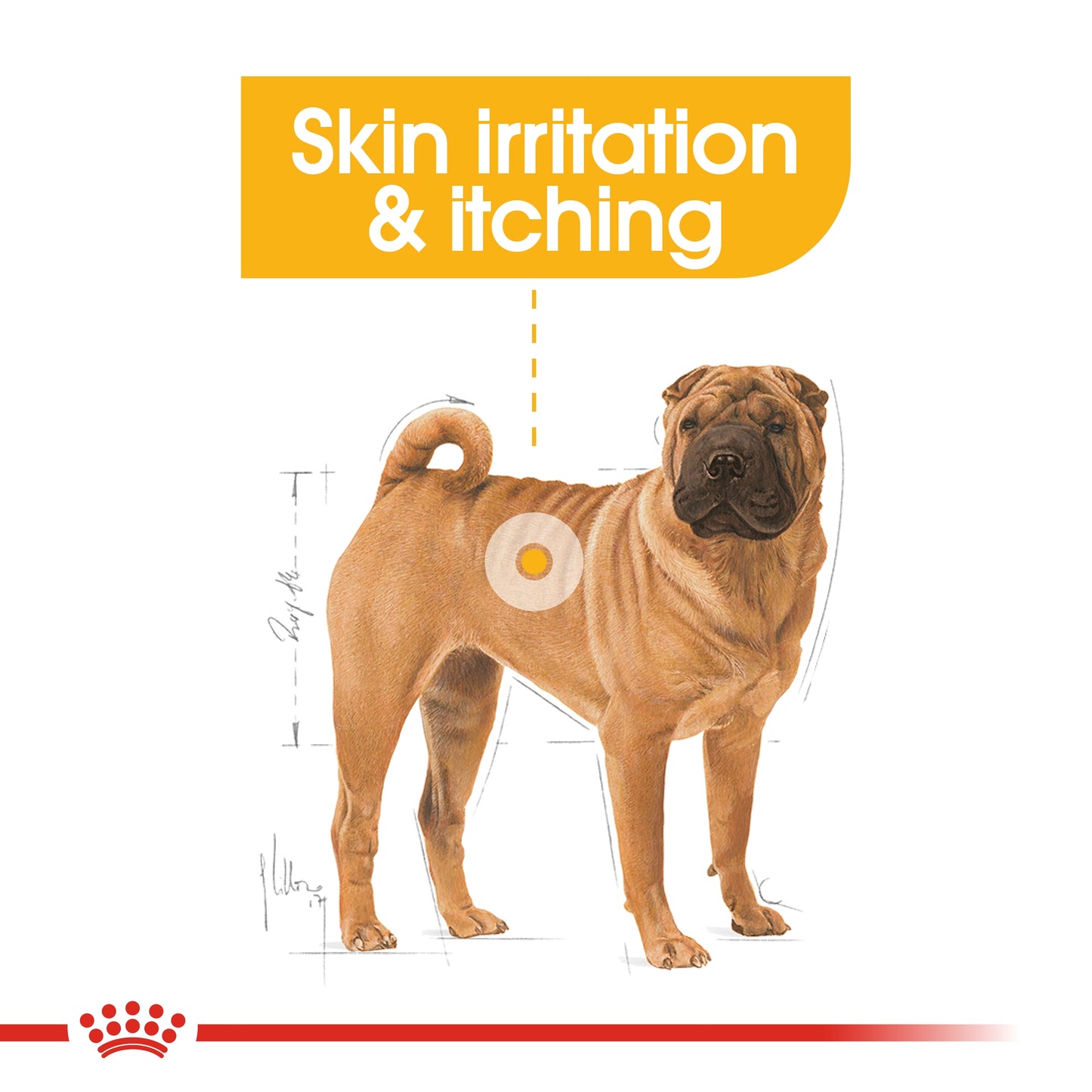Royal Canin Canine Care Nutrition Medium Dermacomfort