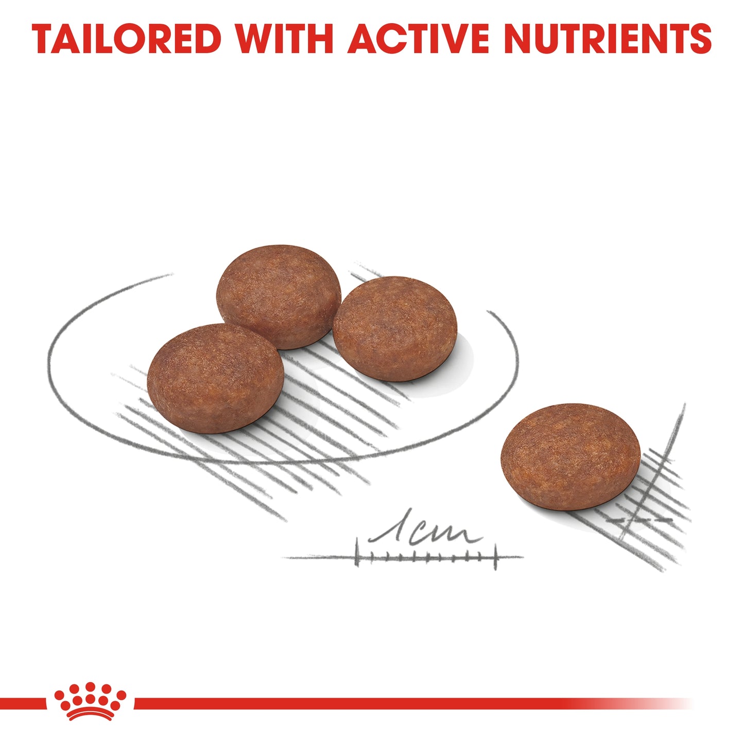 Royal Canin Canine Care Nutrition Mini Digestive Care 3 KG