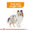 Royal Canin Canine Care Nutrition Coat Care (WET FOOD - Pouches)