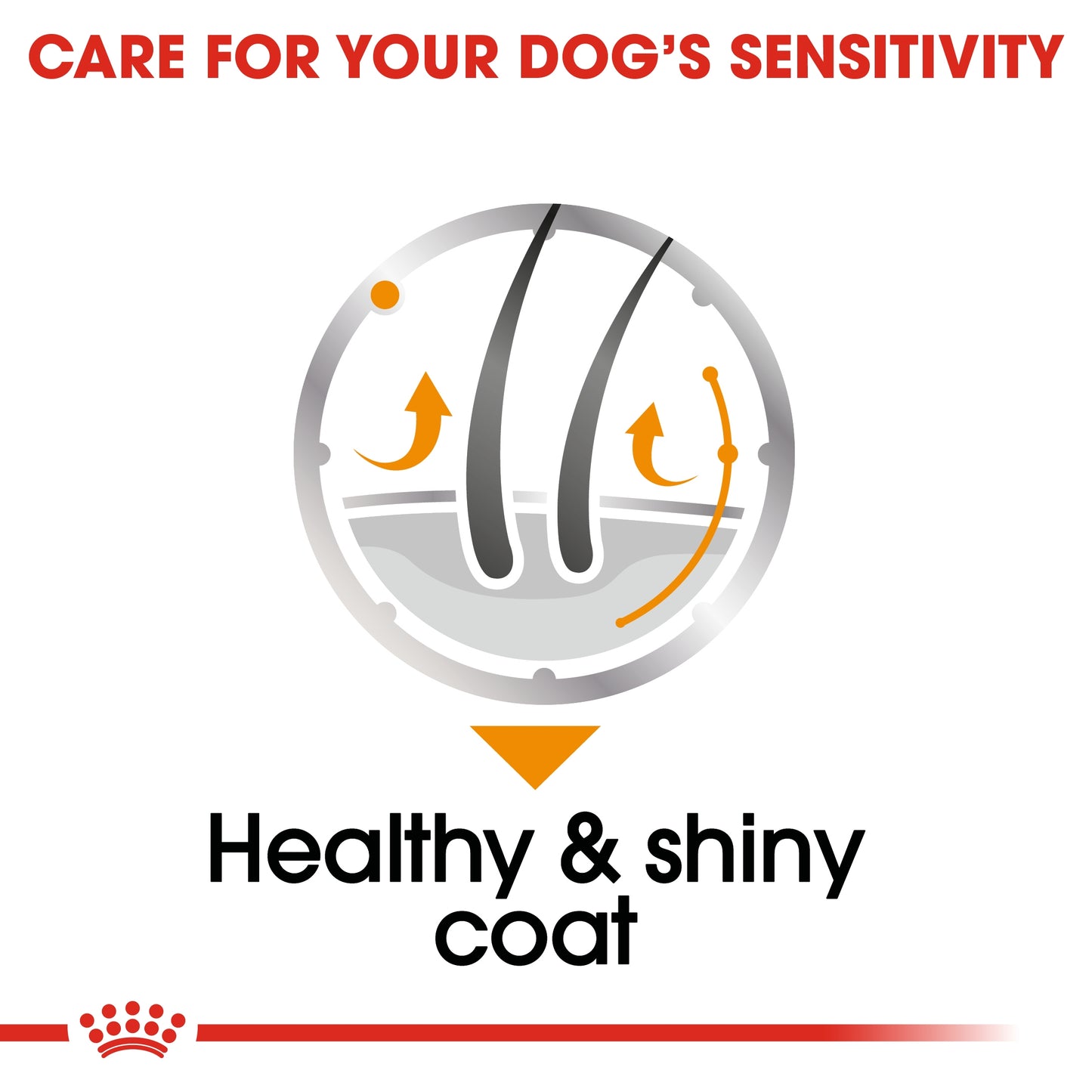 Royal Canin Canine Care Nutrition Coat Care (WET FOOD - Pouches)