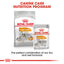 Royal Canin Canine Care Nutrition Coat Care (WET FOOD - Pouches)