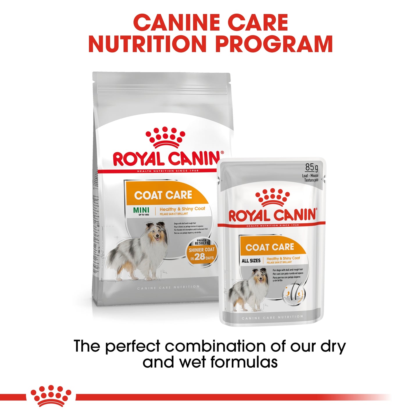 Royal Canin Canine Care Nutrition Coat Care (WET FOOD - Pouches)