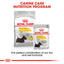 Royal Canin Canine Care Nutrition Dermacomfort (WET FOOD - Pouches) 12 x 85g