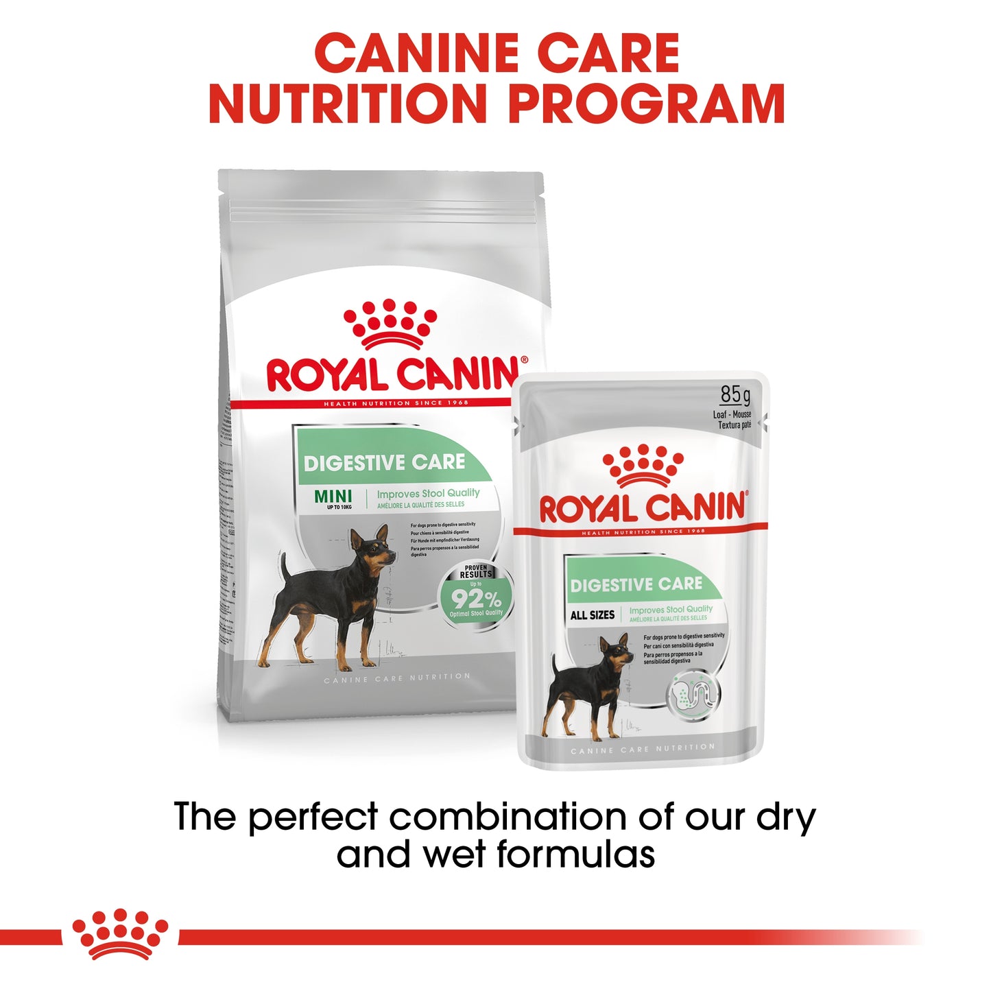 Royal Canin Canine Care Nutrition Digestive Care (WET FOOD - Pouches)