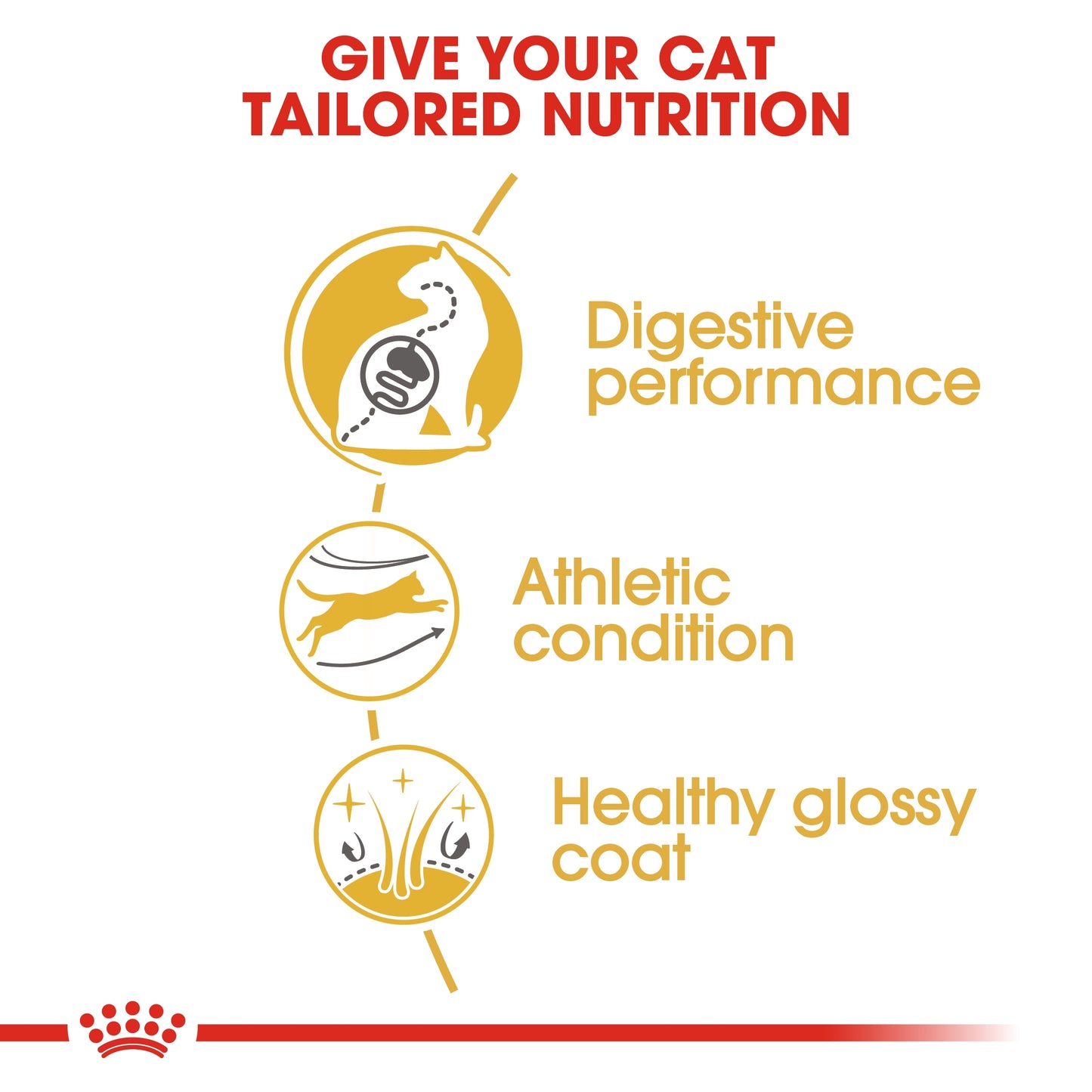 Royal Canin Feline Breed Nutrition Bengal Adult 2 KG