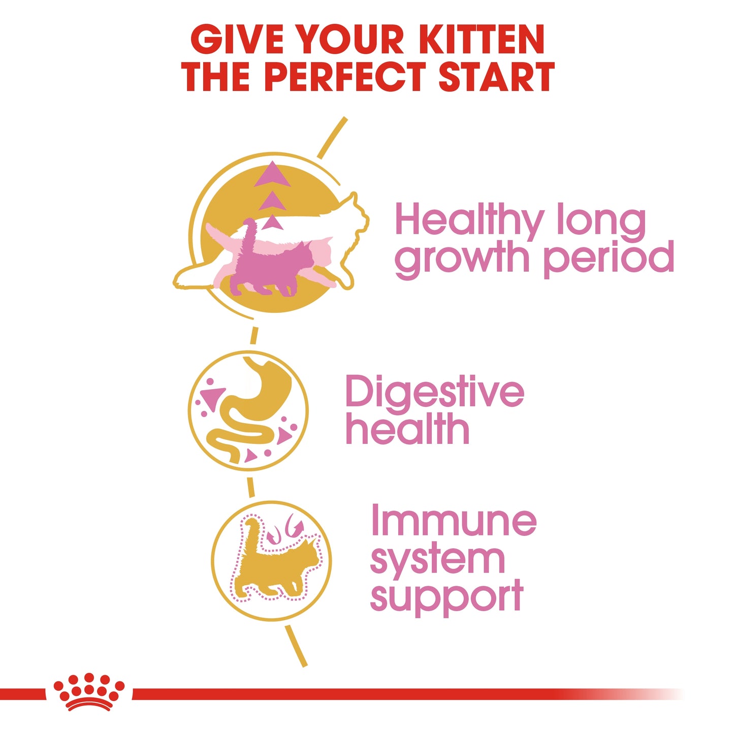 Royal Canin  Feline Breed Nutrition Maine Coon Kitten 2 KG