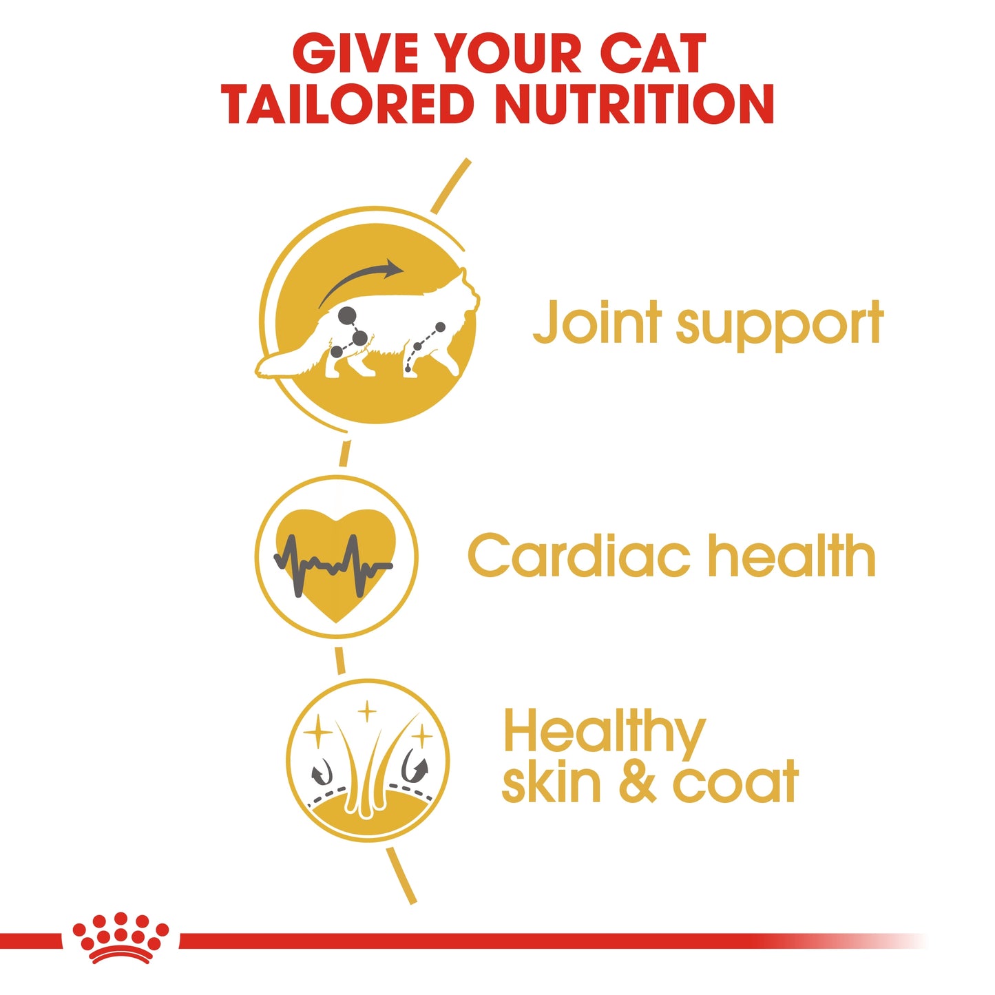 Royal Canin  Feline Breed Nutrition Maine Coon Adult 2 KG