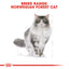 Royal Canin  Feline Breed Nutrition Norwegian Forest Cat Adult 2 KG