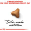Royal Canin  Feline Breed Nutrition Norwegian Forest Cat Adult 2 KG