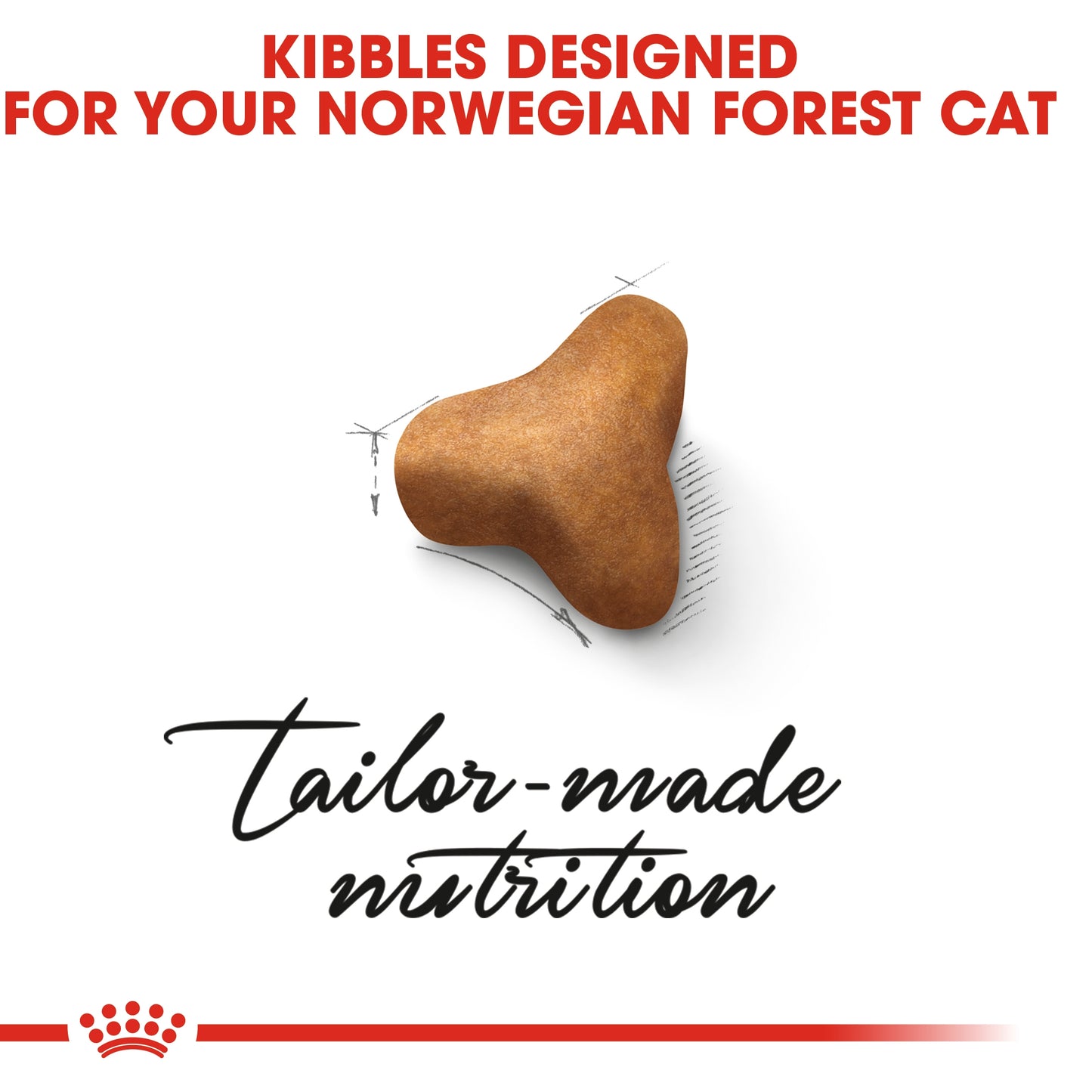 Royal Canin  Feline Breed Nutrition Norwegian Forest Cat Adult 2 KG