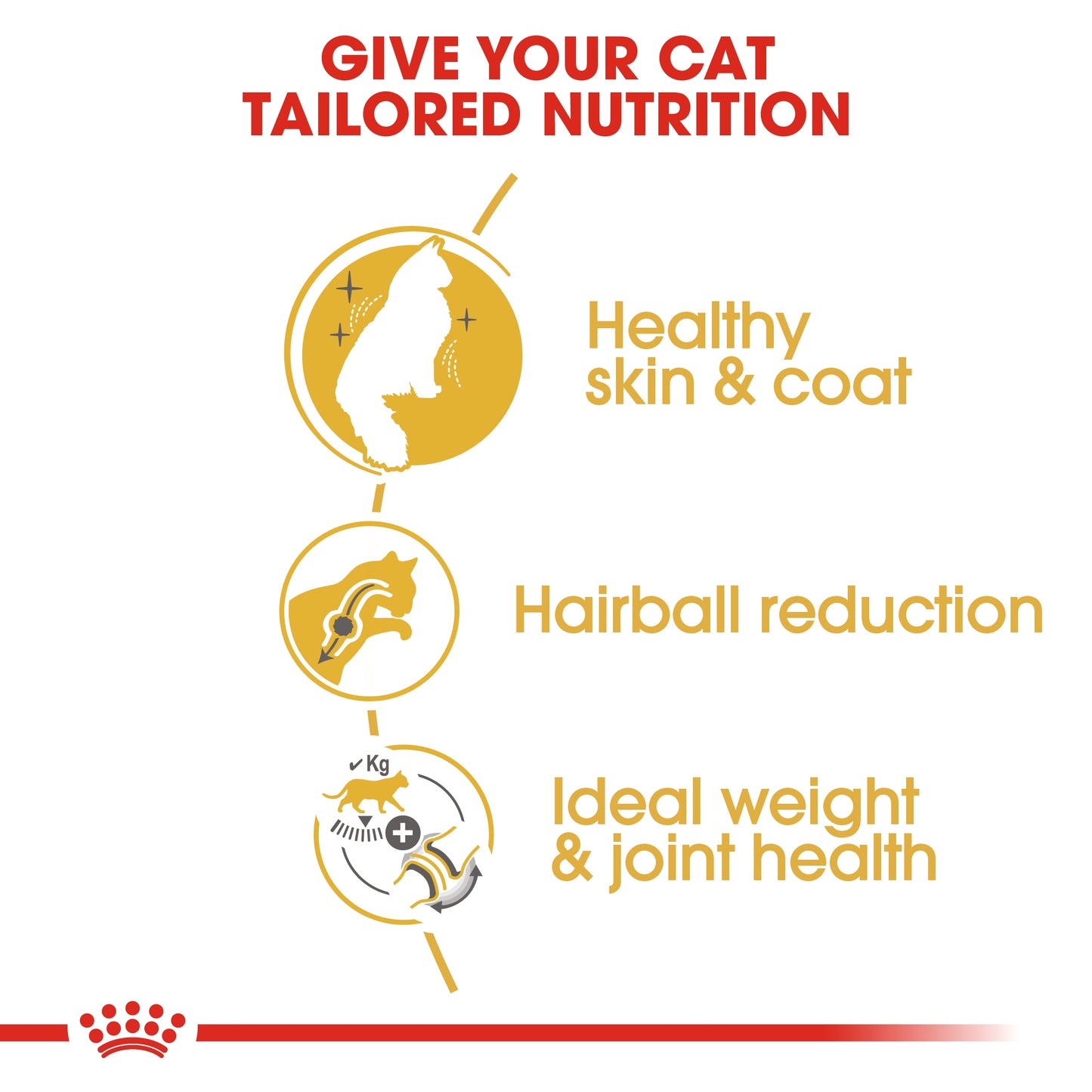 Royal Canin  Feline Breed Nutrition Norwegian Forest Cat Adult 2 KG