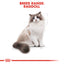 Royal Canin  Feline Breed Nutrition Ragdoll Adult 2 KG