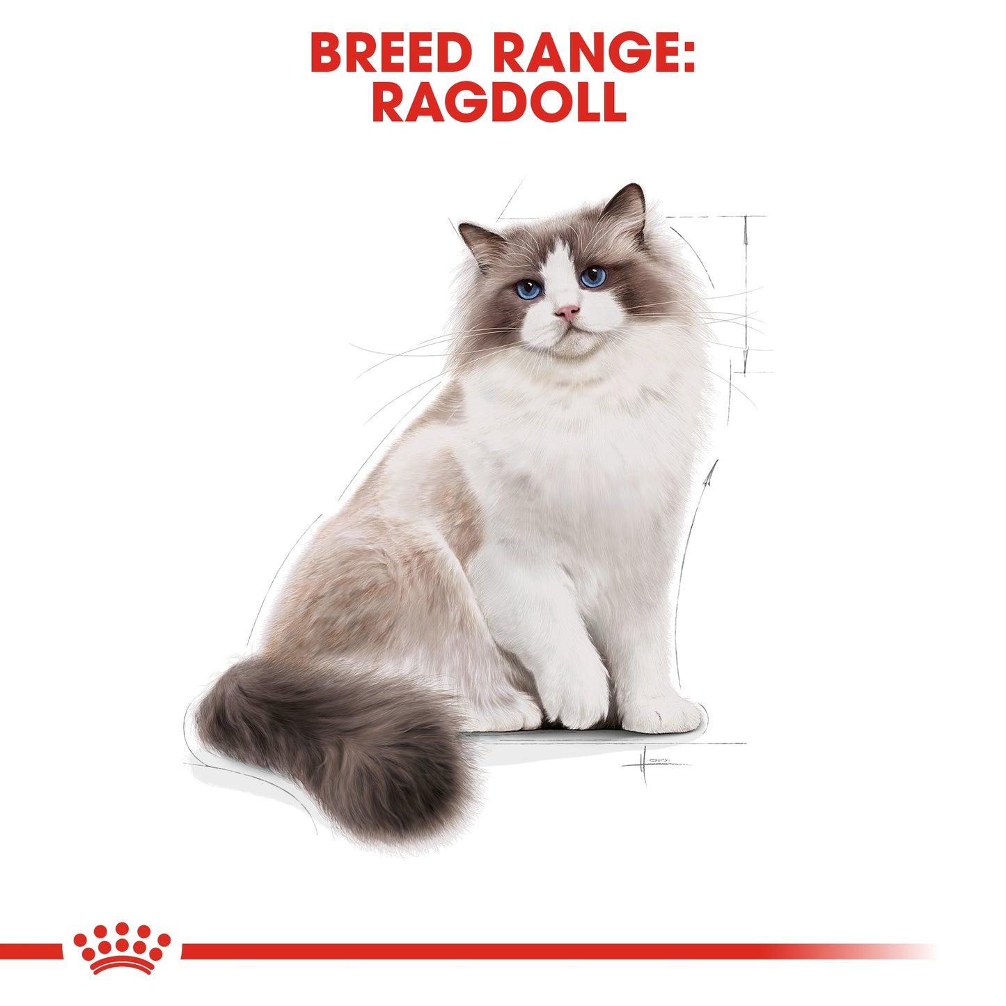 Royal Canin  Feline Breed Nutrition Ragdoll Adult 2 KG
