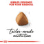 Royal Canin  Feline Breed Nutrition Ragdoll Adult 2 KG