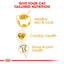 Royal Canin  Feline Breed Nutrition Ragdoll Adult 2 KG