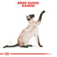 Royal Canin  Feline Breed Nutrition Siamese Adult 2 KG