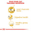 Royal Canin  Feline Breed Nutrition Siamese Adult 2 KG