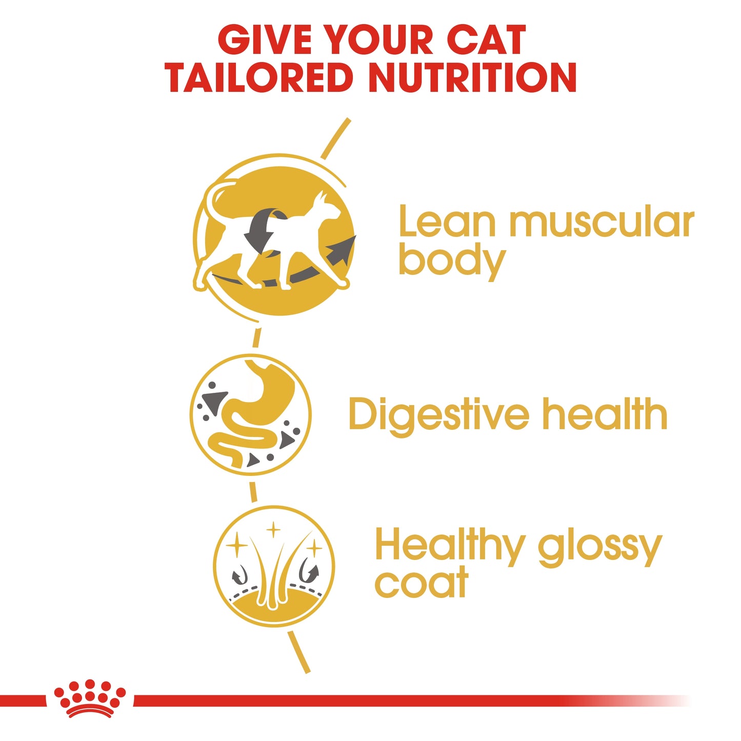 Royal Canin  Feline Breed Nutrition Siamese Adult 2 KG