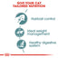 Royal Canin Feline Care Nutrition Hairball Care Jelly (Wet Food - Pouches)