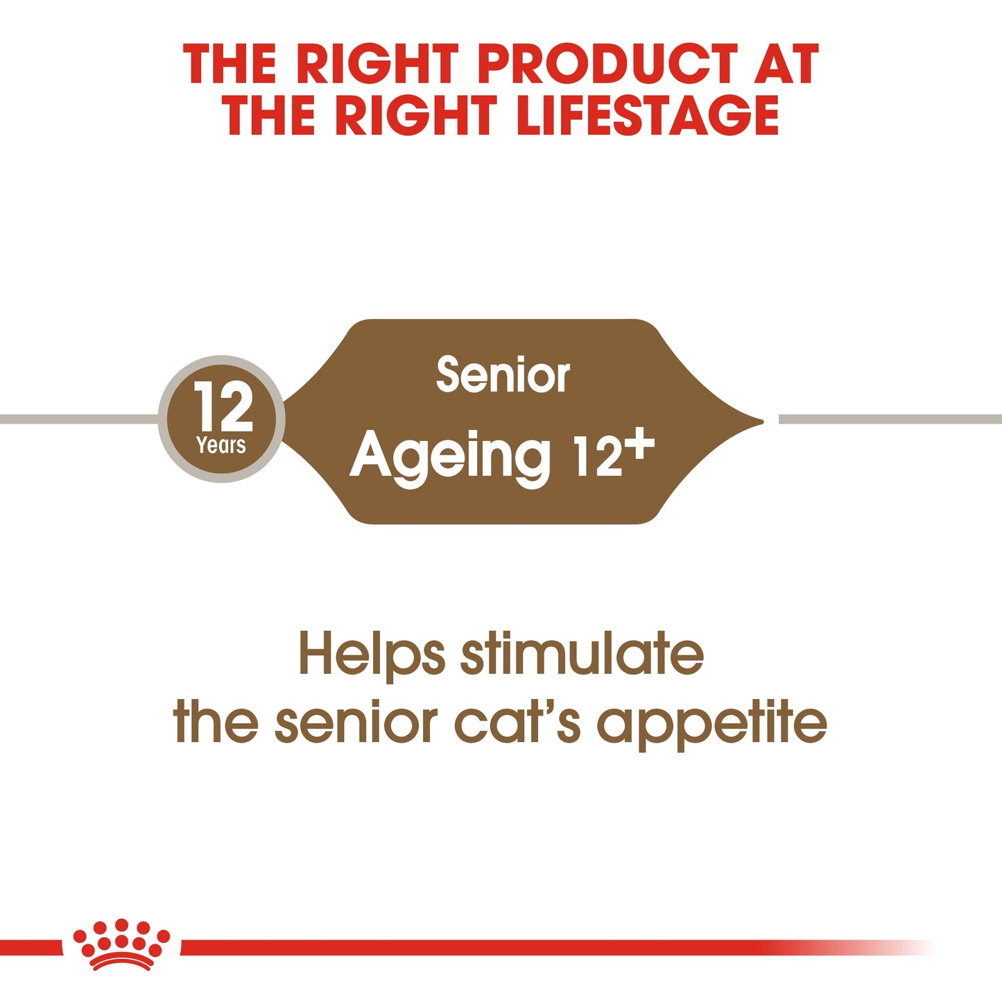 Royal Canin  Feline Health Nutrition Ageing 12 Years 2 KG