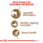 Royal Canin  Feline Health Nutrition Ageing 12 Years 2 KG