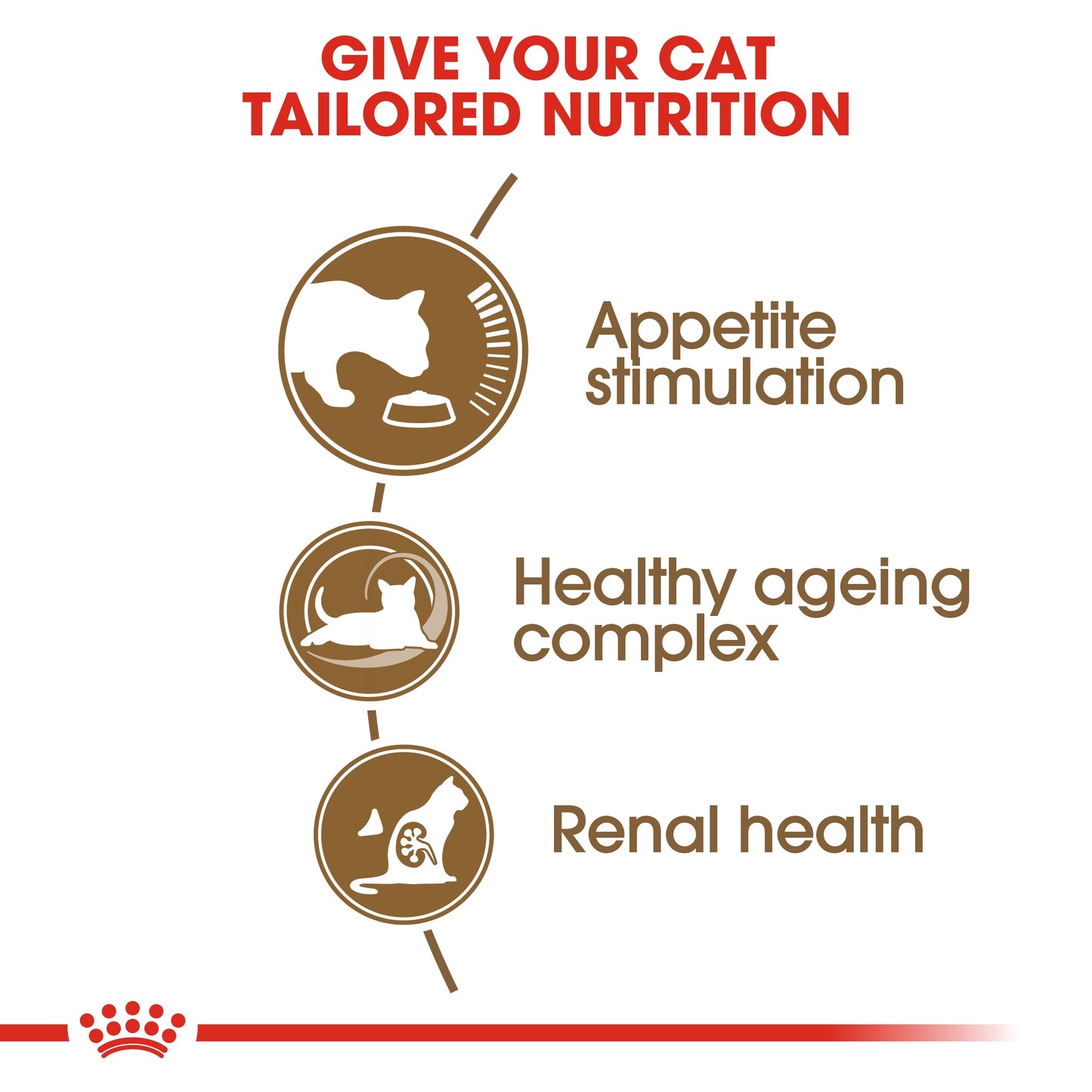 Royal Canin  Feline Health Nutrition Ageing 12 Years 2 KG