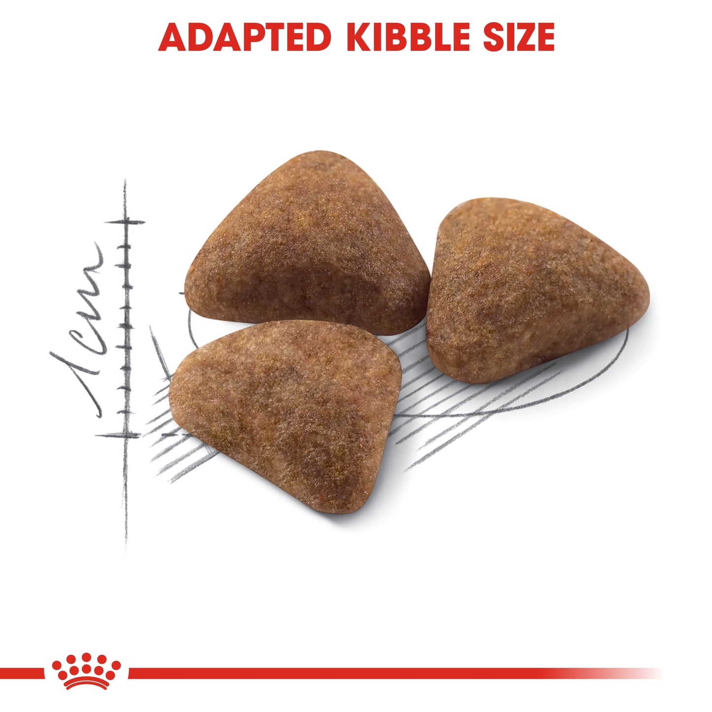 Royal Canin Feline Health Nutrition Indoor