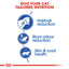 Royal Canin Feline Health Nutrition Indoor Long Hair 2 KG