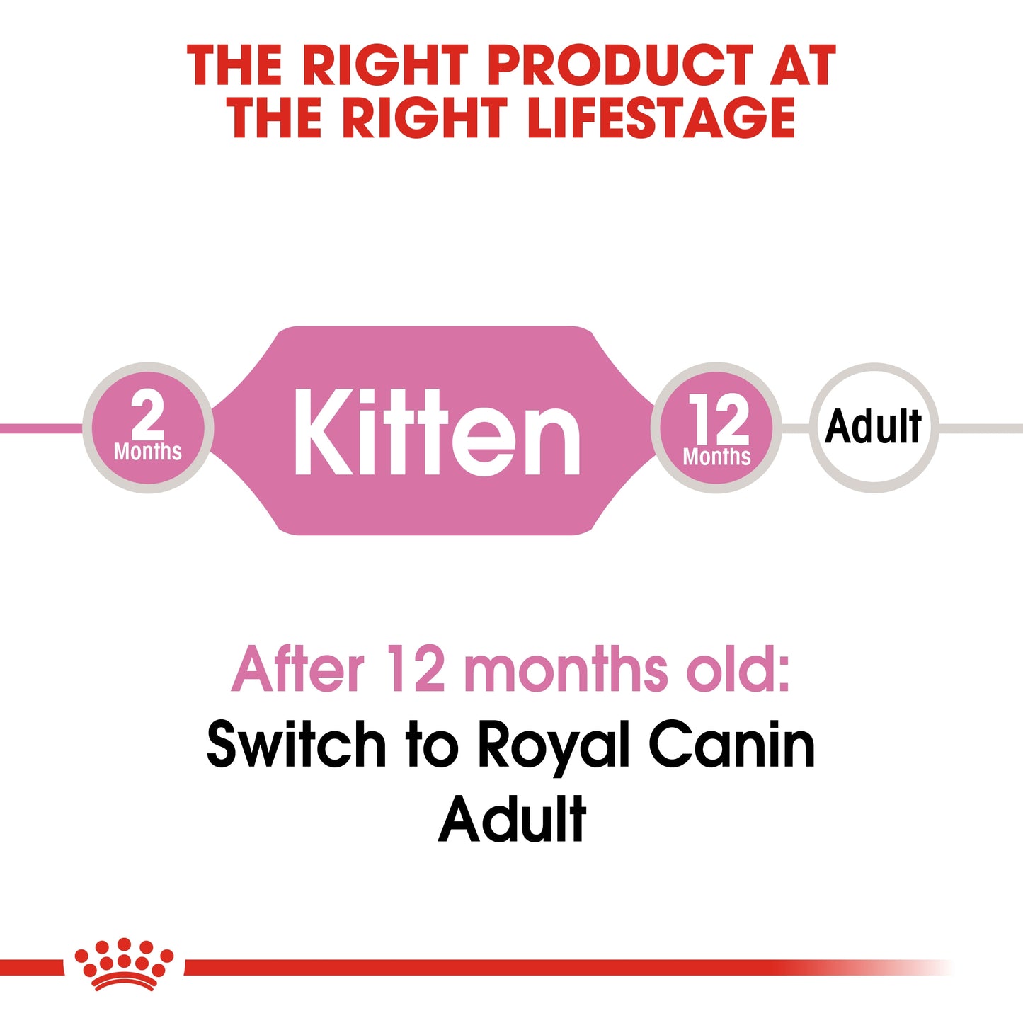 Royal Canin Feline Health Nutrition Kitten