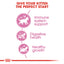 Royal Canin Feline Health Nutrition Kitten
