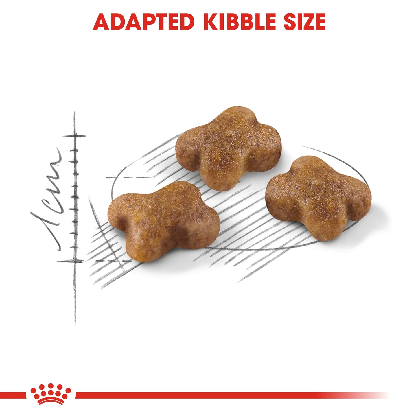 Royal Canin Feline Health Nutrition Kitten