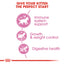 Royal Canin  Feline Health Nutrition Kitten Sterilised 2 KG