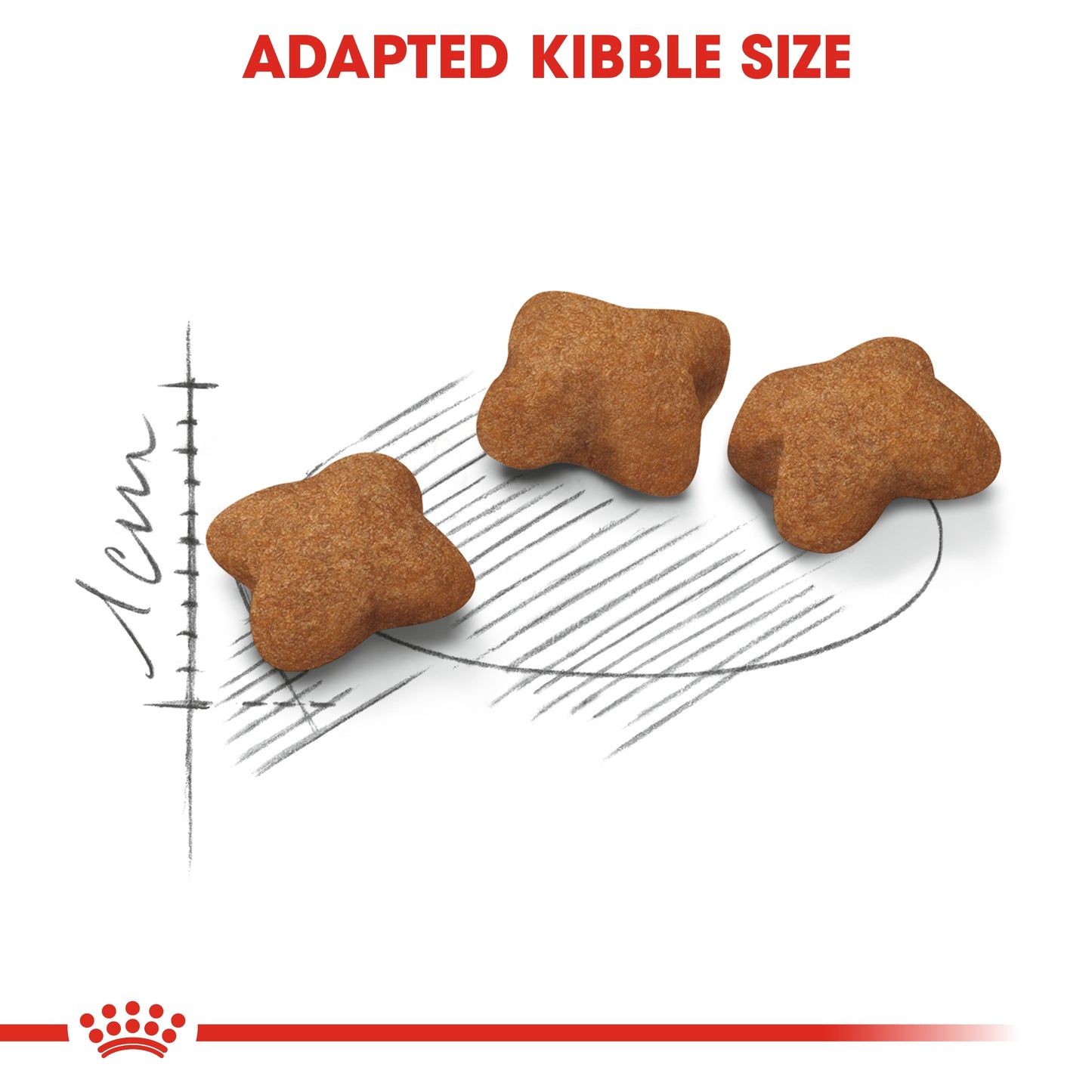 Royal Canin  Feline Health Nutrition Kitten Sterilised 2 KG