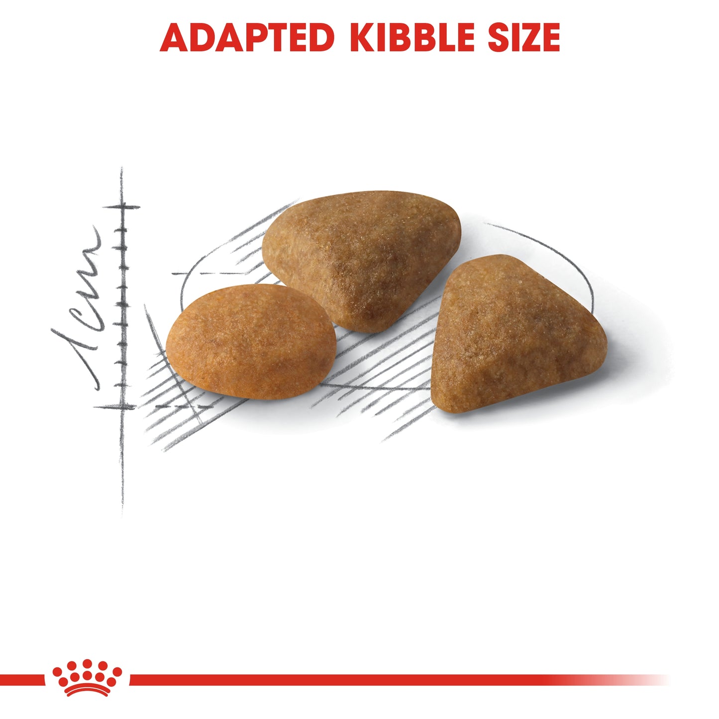 Royal Canin Feline Health Nutrition Exigent Savour