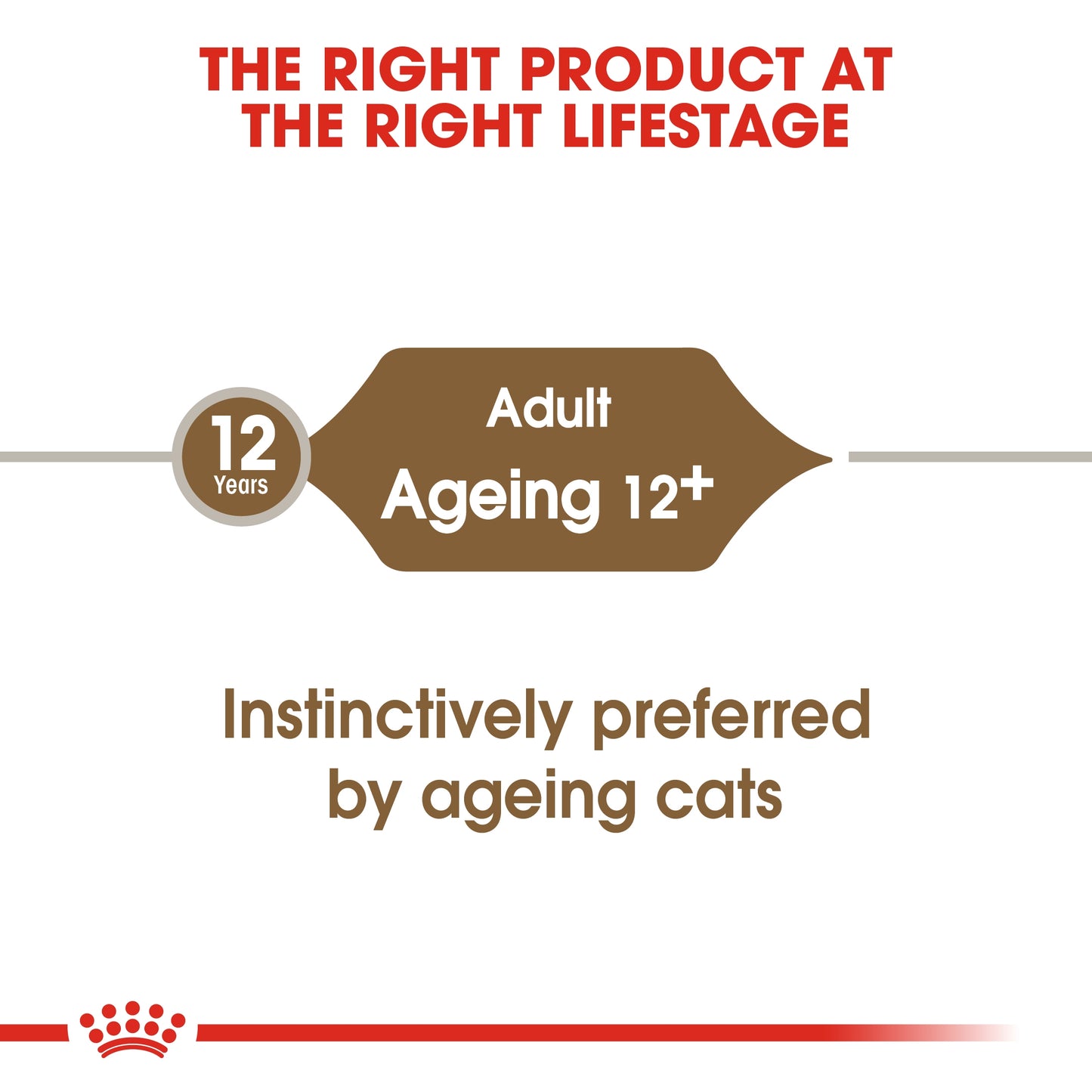 Royal Canin Feline Health Nutrition Ageing  Gravy (WET FOOD - Pouches) 12 x 85g