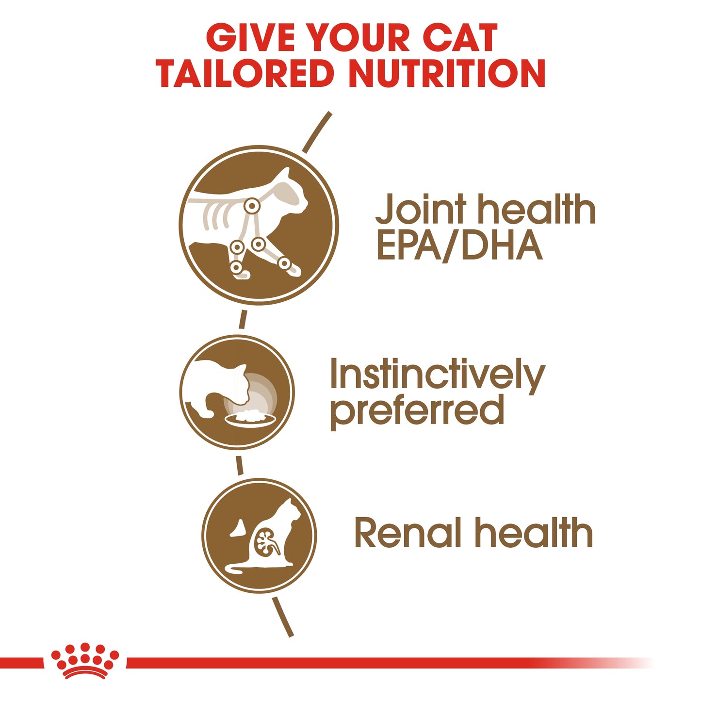 Royal Canin Feline Health Nutrition Ageing  Gravy (WET FOOD - Pouches) 12 x 85g