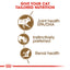 Royal Canin  Feline Health Nutrition Ageing  Jelly (WET FOOD - Pouches)