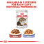 Royal Canin  Feline Health Nutrition Ageing  Jelly (WET FOOD - Pouches)