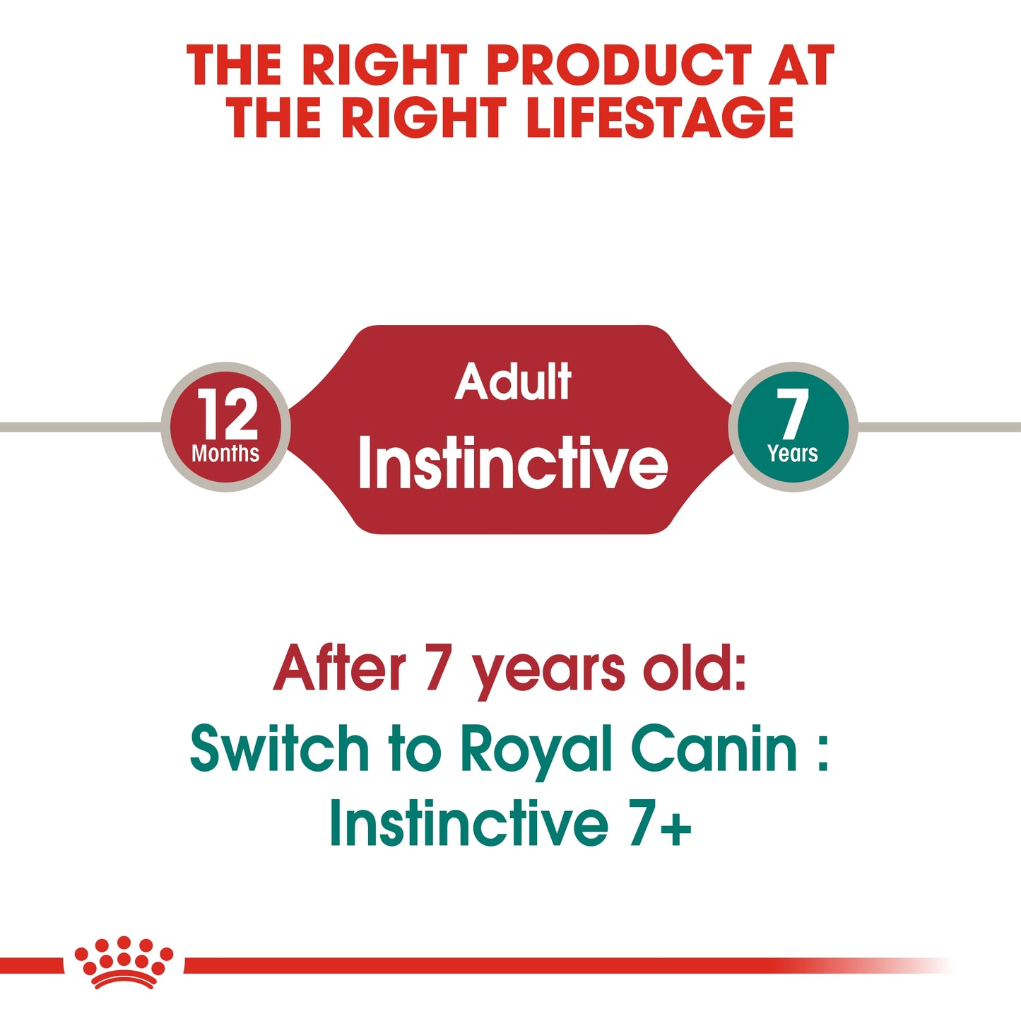 Royal Canin  Feline Health Nutrition Instinctive Adult Cats Jelly (WET FOOD - Pouches) 12 x 85g